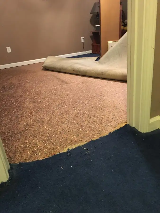 Carpet pad removal revealing water damage during Drying & Dehumidification in Old Tappan