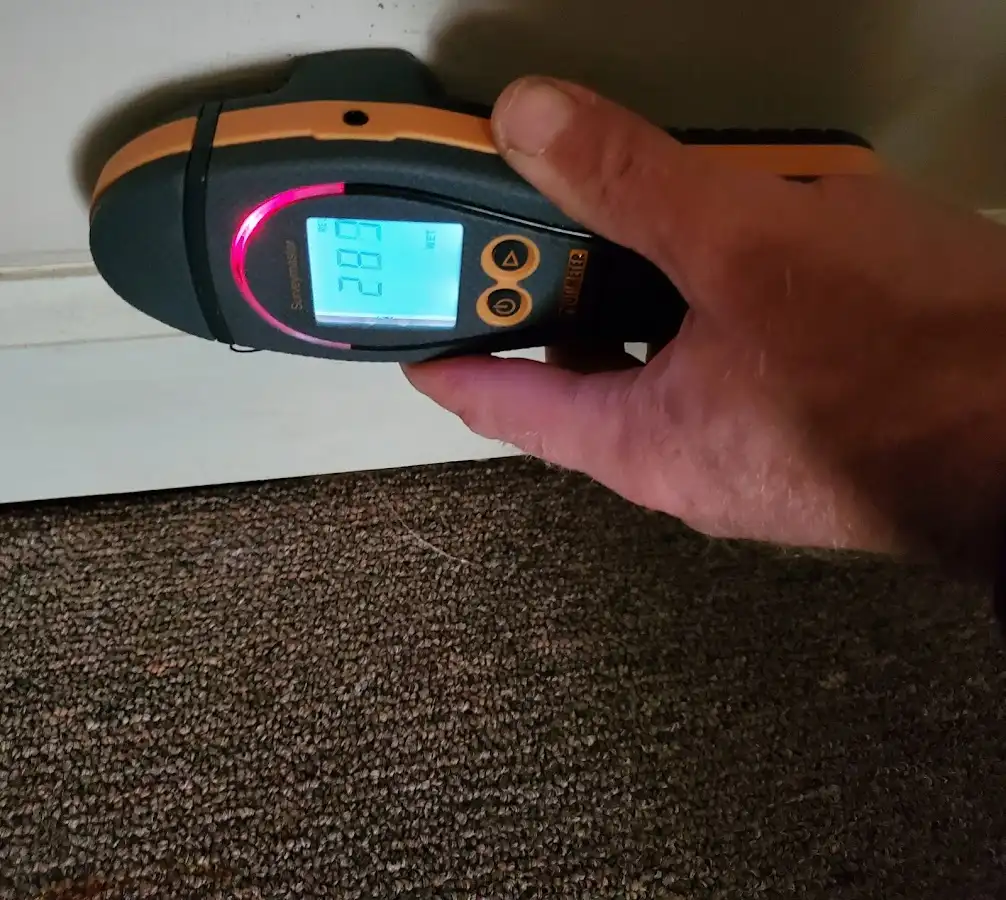 Moisture detection at baseboard during Sewage Cleanup & Sanitation in Old Tappan
